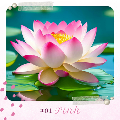 🪷 GFOUK® Colorful Lotus Flower Seeds 🇺🇸 Cultivated and Shipped from USA