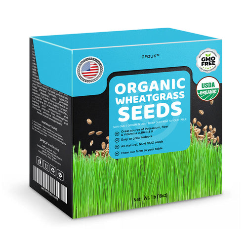 GFOUK™ Organic Wheatgrass Seeds | Non GMO | Grown in USA | from Our Farm to Your Table