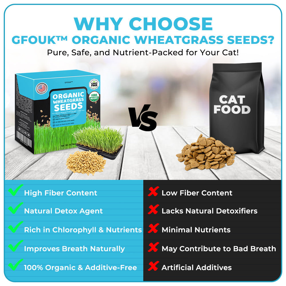 GFOUK™ Organic Wheatgrass Seeds | Non GMO | Grown in USA | from Our Farm to Your Table