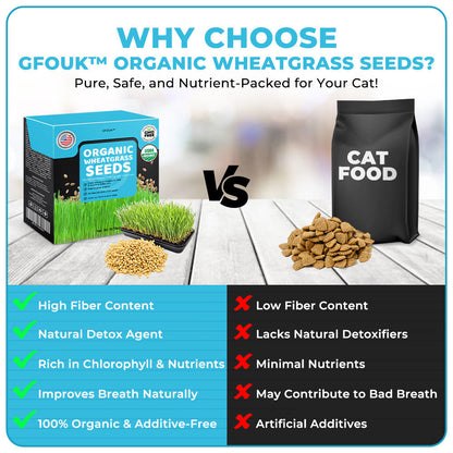 GFOUK™ Organic Wheatgrass Seeds | Non GMO | Grown in USA | from Our Farm to Your Table