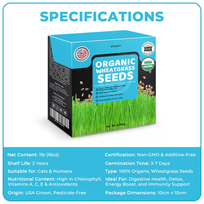 GFOUK™ Organic Wheatgrass Seeds | Non GMO | Grown in USA | from Our Farm to Your Table